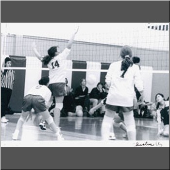 Unable to load Image